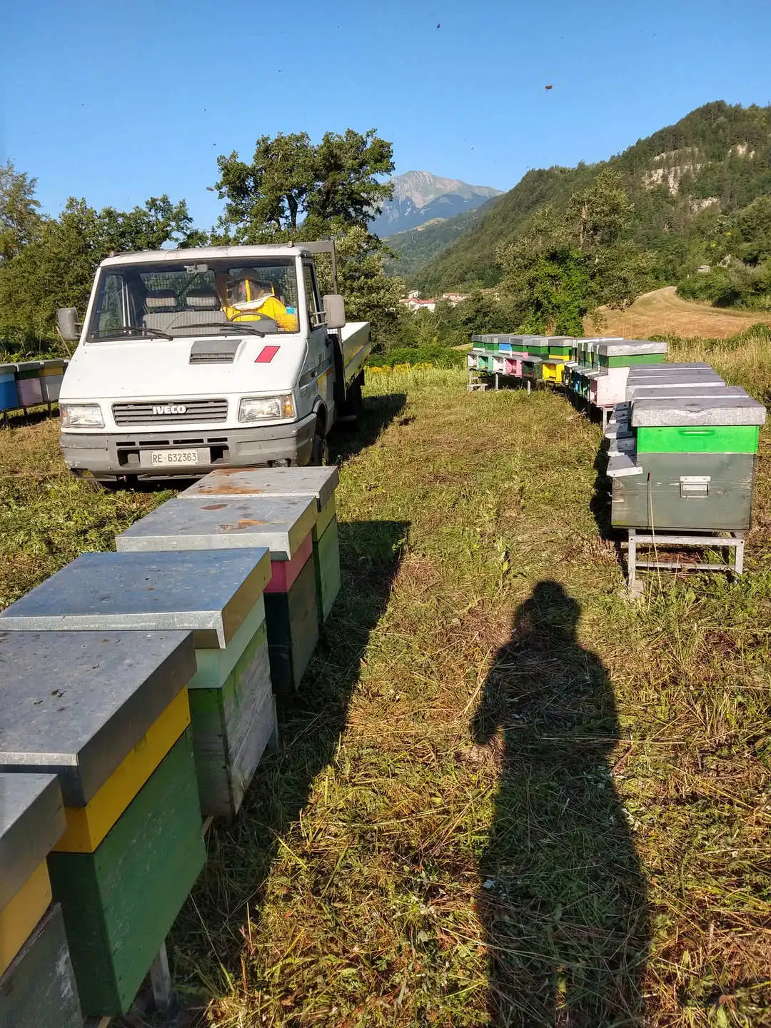 Apiario vista 4, bio